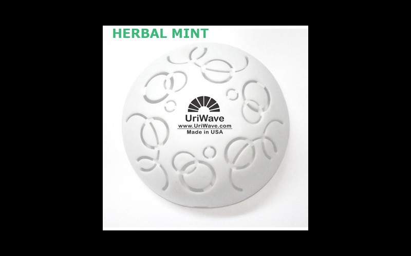 Intensity Herbal Mint - 12 pièces